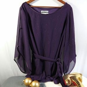 Dana Kay Dark Plum Glittering Chiffon Blouse